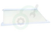 Beko 4617920500 Vriezer Glasplaat Glasplaat koelkast geschikt voor o.a. CS240, DS250, RBI1400