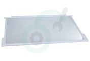 Airlux 163377 Koelkast Glasplaat Compleet, incl. strippen geschikt voor o.a. RK6337E, RF6275W