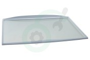 Whirlpool C00517595 Koelkast Glasplaat 460x310mm. Compleet met randen geschikt voor o.a. WM1500, KRA1601, WBE2311