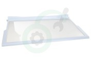 Whirlpool 481010643010 Koelkast Glasplaat Compleet met randen geschikt voor o.a. ARG760A, ART6600, ARL6500