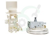 Laden Koelkast Thermostaat Ranco K59S1890500 + lamphouder vervangt A13 0584 geschikt voor o.a. KRB1300, ARC54232