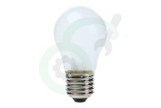 Samsung 4713001201 4713-001201 Vriezer Lamp Globe 40W E27 geschikt voor o.a. RL38HGIS1, RSH1DTPE1