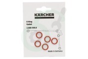 Karcher 28809900  O-ring O-ringen set 5 stuks van pistoolgreep of jet pipe geschikt voor o.a. HDS580, HDS760
