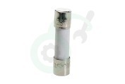 Electrolux 50287203009 Oven-Magnetron Zekering 8 Ampere geschikt voor o.a. MBE2658DM, MCD2664EB, MQ926GXE