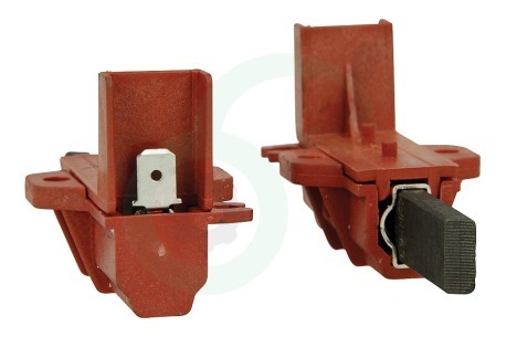 Atag Wasmachine C00196544 Koolborstel In houder 12x5mm.