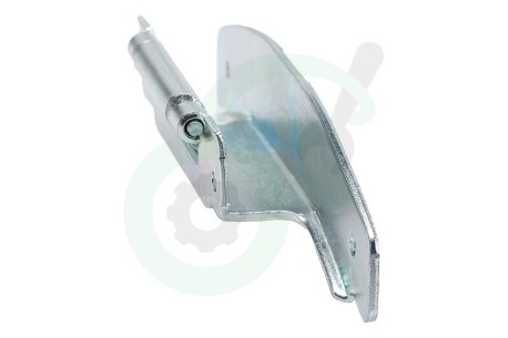 Indesit Wasmachine 255430, C00255430 Scharnier Van vuldeur