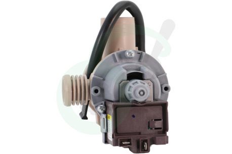 Hoover Wasmachine 70027134 Afvoerpomp