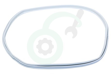 Blomberg Wasdroger 2962590100 Afdichtingsrubber Van deur