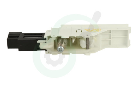 Hisense Wasdroger 30801000386 Deurslot