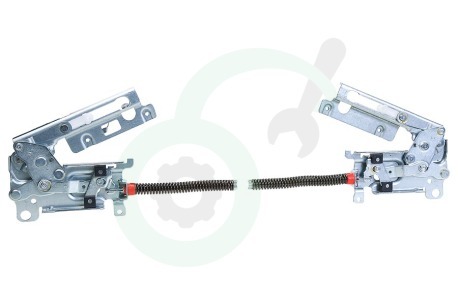 Electrolux Vaatwasser 4055474953 Scharnier Van deur, links en rechts