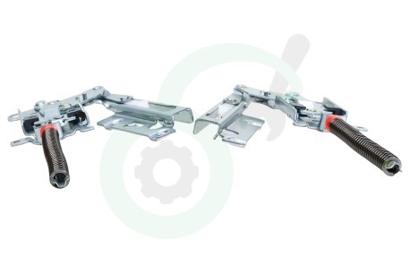 Electrolux Vaatwasser 4055474953 Scharnier Van deur, links en rechts