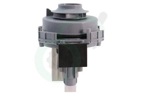 Indesit Vaatwasser 303737, C00303737 Pomp Circulatie -Askoll-