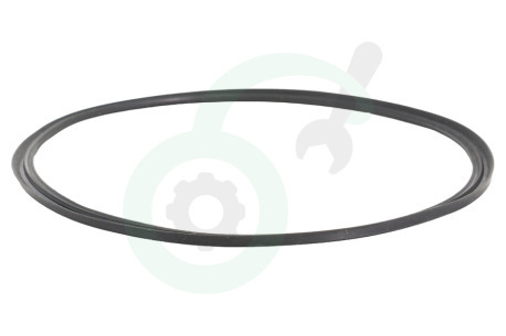 Gorenje Vaatwasser 148417 Afdichtingsrubber
