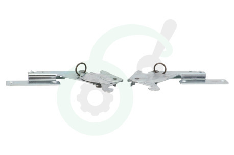 Bauknecht Vaatwasser 480131000071 Scharnier Set -links en rechts-
