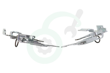 Bauknecht Vaatwasser 480131000071 Scharnier Set -links en rechts-
