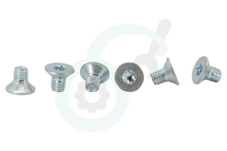 Bauknecht Vaatwasser 480131000071 Scharnier Set -links en rechts-
