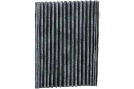Electrolux Koelkast 4055853875 Filter Koolstoffilter