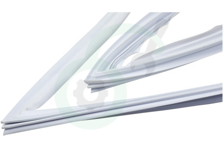 Ariston-Blue Air Koelkast 117019, C00117019 Afdichtingsrubber Koelgedeelte, Wit