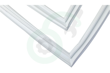 Neff Koelkast 248899, 00248899 Afdichtingsrubber Koelkast