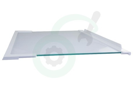 Pelgrim Koelkast 560207 Glasplaat