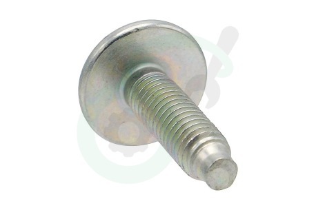 Liebherr Koelkast 4098388 Torx Schroef