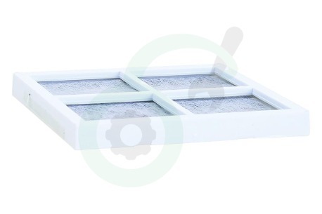 LG Koelkast ADQ73214408 LT120F Luchtfilter