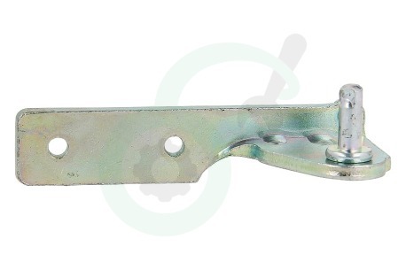 Haier Koelkast 49052734 0060109527 Scharnier midden