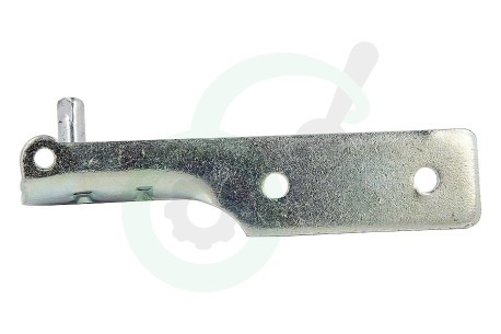 Haier Koelkast 49052734 0060109527 Scharnier midden