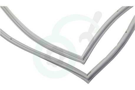 Hisense Koelkast HK1645450 Afdichtingsrubber Vriezer, Magnetisch