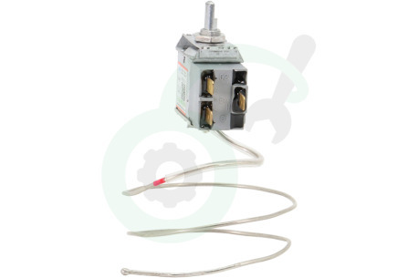 Hisense Koelkast HK2026667 Thermostaat