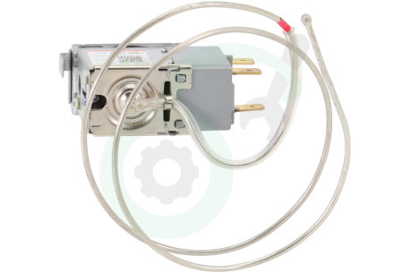 Hisense Koelkast HK2026667 Thermostaat