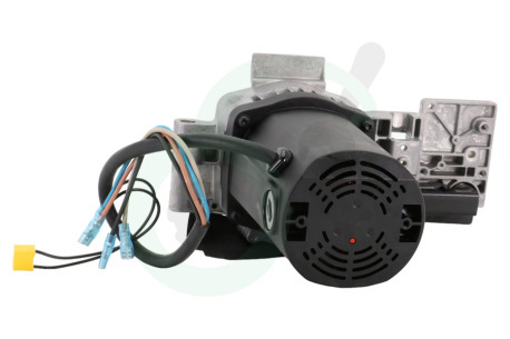 Dewalt NA218780 Motor
