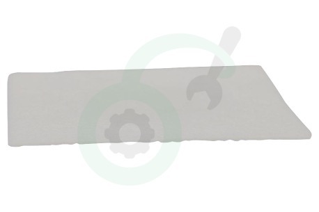 AEG Stofzuiger 8087776012 Filter Motorfilter