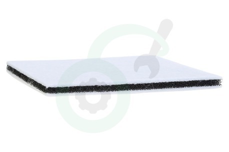 Philips Stofzuiger 482248010228 Filter Motor -vierkant-