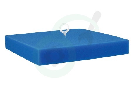 Philips Stofzuiger 432200494471 Filter Motorfilter