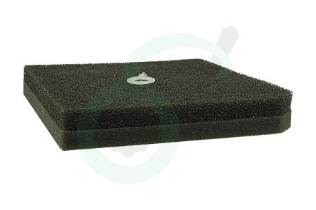 Philips Stofzuiger 432200901131 CP0484/01 Filter