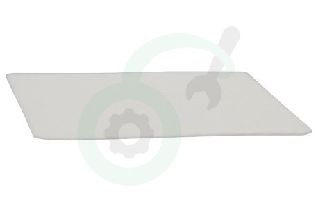 Philips Stofzuiger 432200493671 CP0137/01 Filter