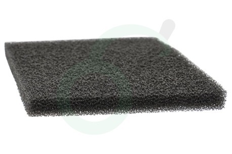 Tefal Stofzuiger RS2230000956 RS-2230000956 Filter Motorfilter