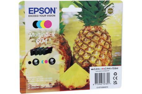 Epson  EPST10G640 C13T10G64010 Epson 604 Multipack