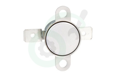 Hotpoint-ariston Oven-Magnetron 81599, C00081599 Thermostaat