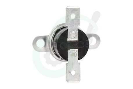 Hotpoint-ariston Oven-Magnetron 81599, C00081599 Thermostaat