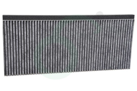 Bosch Afzuigkap 20004001 Koolstoffilter