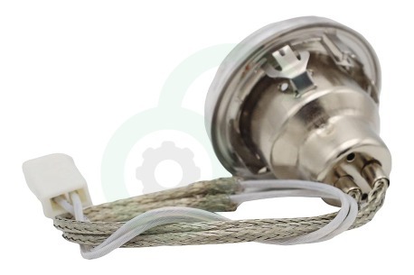 Gorenje Oven-Magnetron 305981 Lamp Verlichting compleet