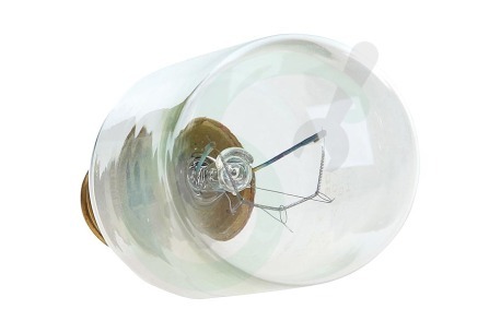 Whirlpool Oven-Magnetron 481213488001 Lamp Oven lamp 40W E14