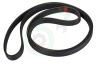 Universeel Wasmachine 10000365 Poly-V-snaar 1920 PHE H8 TEM