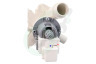 Candy Wasmachine 43041796 Afvoerpomp