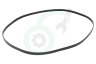 Gorenje Wasmachine 151041 Poly-V-snaar 1315H8EL
