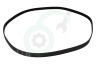 Haier Wasmachine 49046320 0020300592 Snaar 1216EPJ6