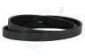 Haier Wasmachine 49046320 0020300592 Snaar 1216EPJ6