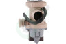 Hoover Wasmachine 70027134 Afvoerpomp